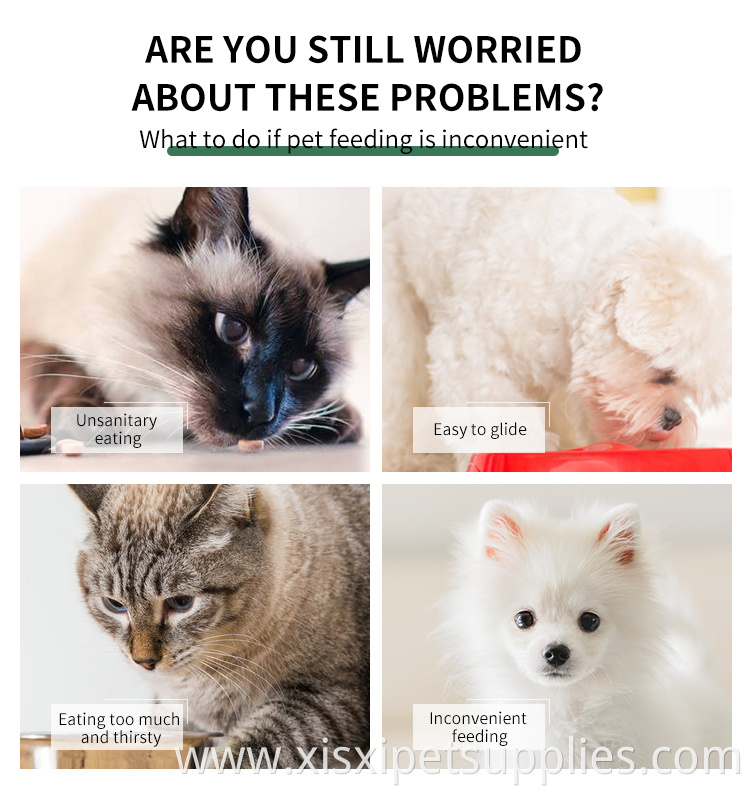 Factory Wholesale Automatic Pet Water Dispenser Slant Double Cat Dog Water Food Bowl